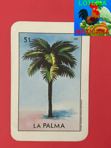 palma de cocos en playas mexicanas